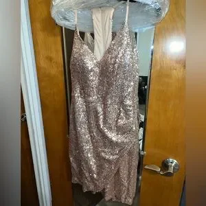 B.Smart Dresses | Rose Gold Sequined Homecoming Dress | Color: Gold/Red | Size: 15j | Camrynkleinn's Closet